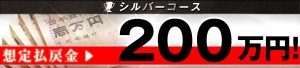 レコード(RECORD)　シルバーコース